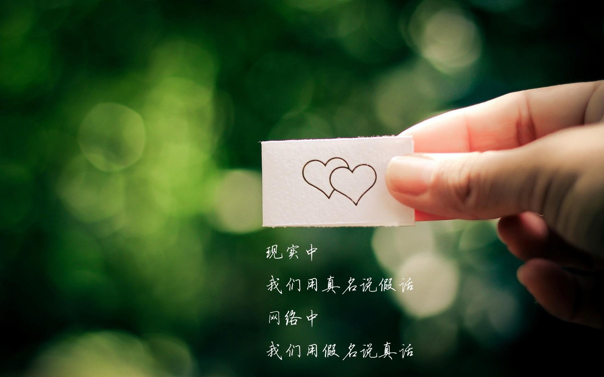 _青少年运动员成长路径：从训练营到职业舞台_，青少年运动员选材与培养