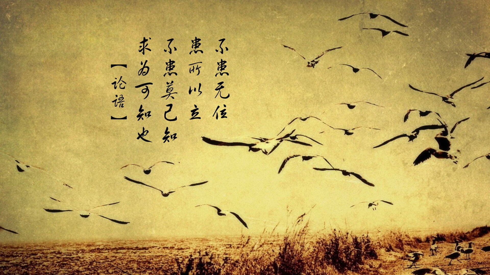 德甲强化青训体系，培养未来巨星，德甲强队有哪些