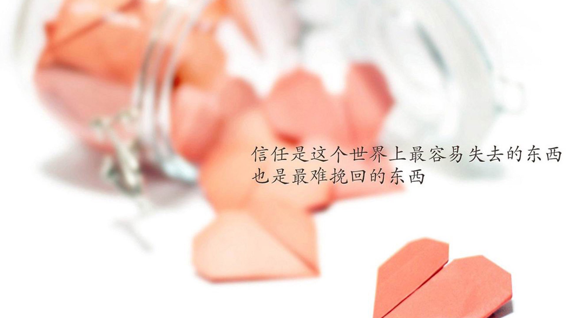 篮球明星公益篮球赛引发社会高度关注，篮球公益广告语