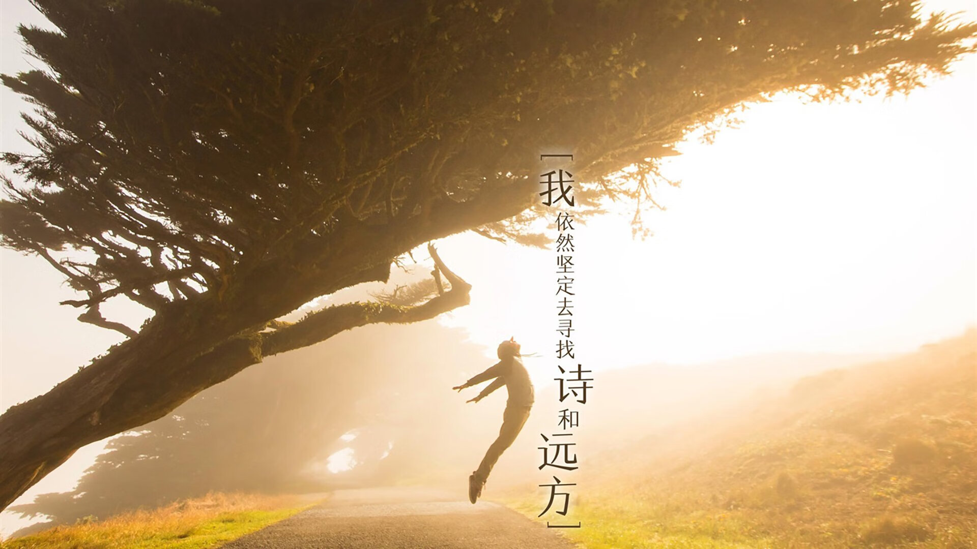 克罗地亚欧预赛夺冠，晋级形势向好，克罗地亚欧预赛战绩
