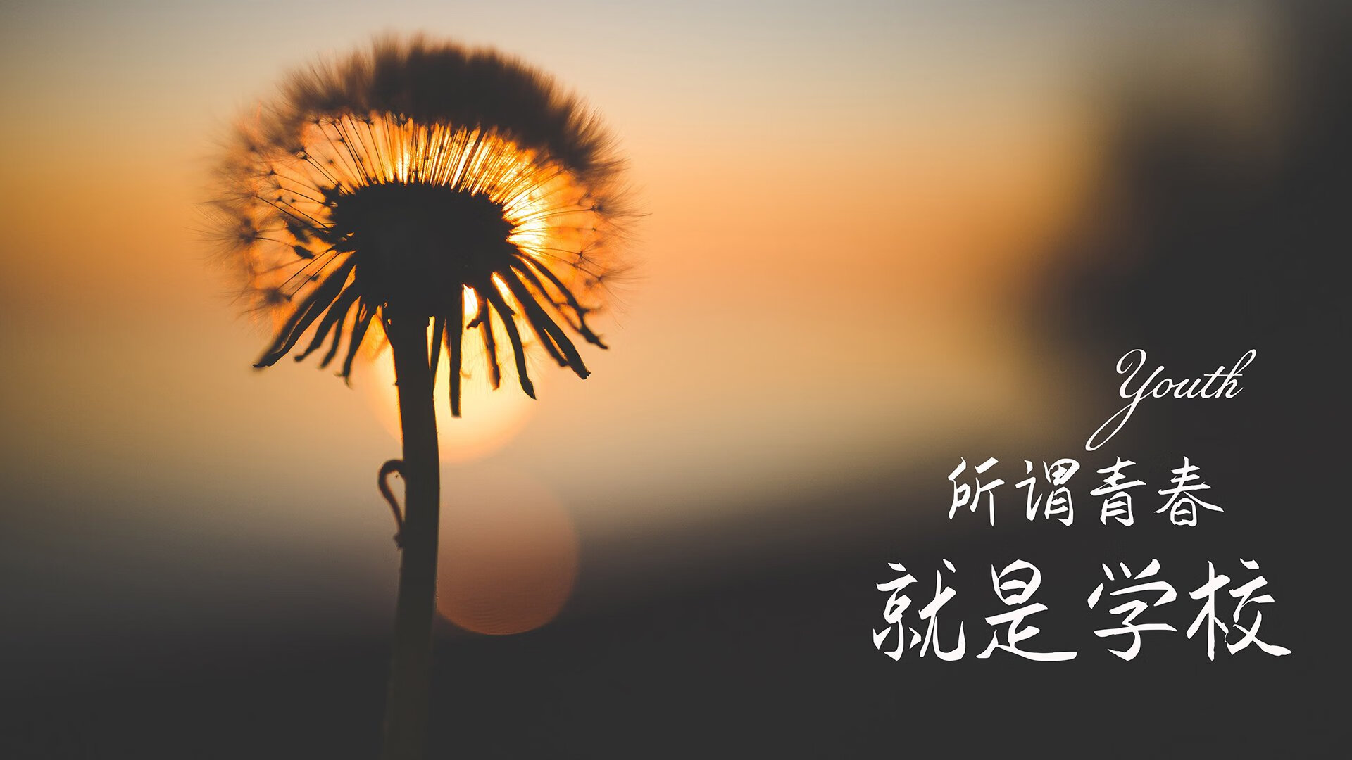 九游-欧洲篮球联赛季后赛火爆进行，精彩绝伦，欧洲篮球联赛季后赛4月13日