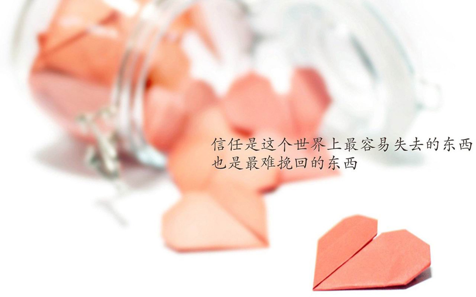 女子接力反超澳洲惊险夺冠，女子接力回放