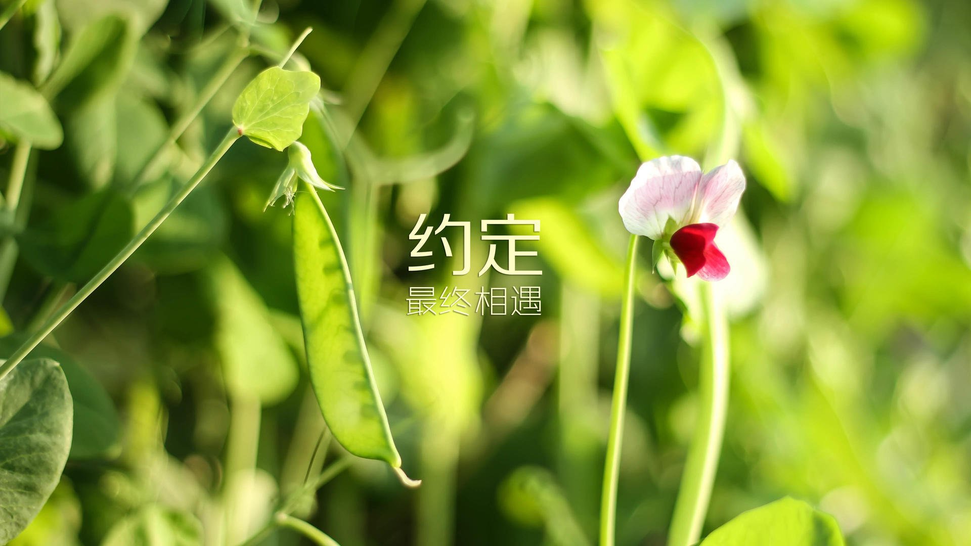 九游登录入口-特色足球文化馆在多个城市落成，成为城市文化的新名片，足球文化设计大赛