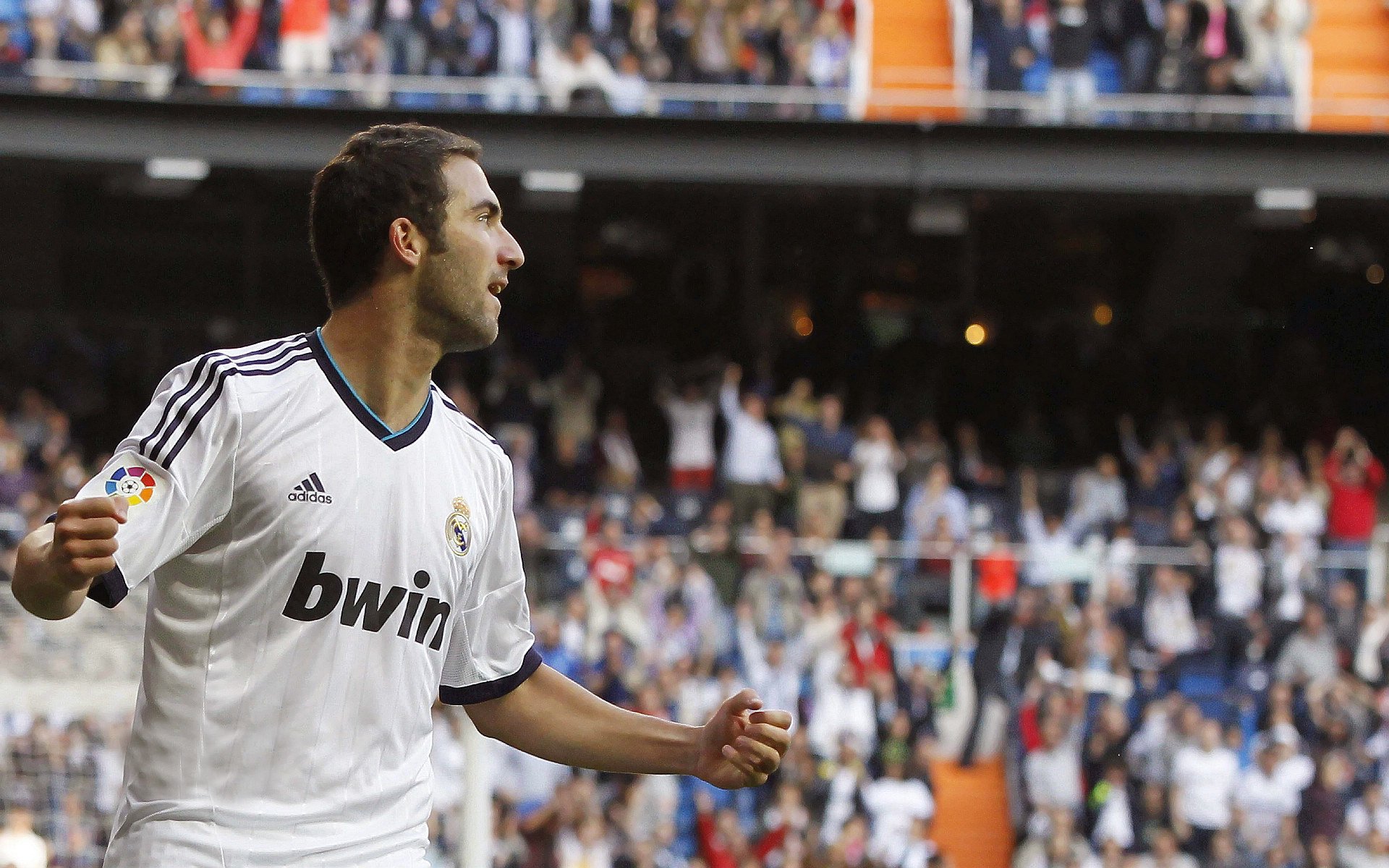 北极探险赛：极地挑战的无畏精神，北极探索