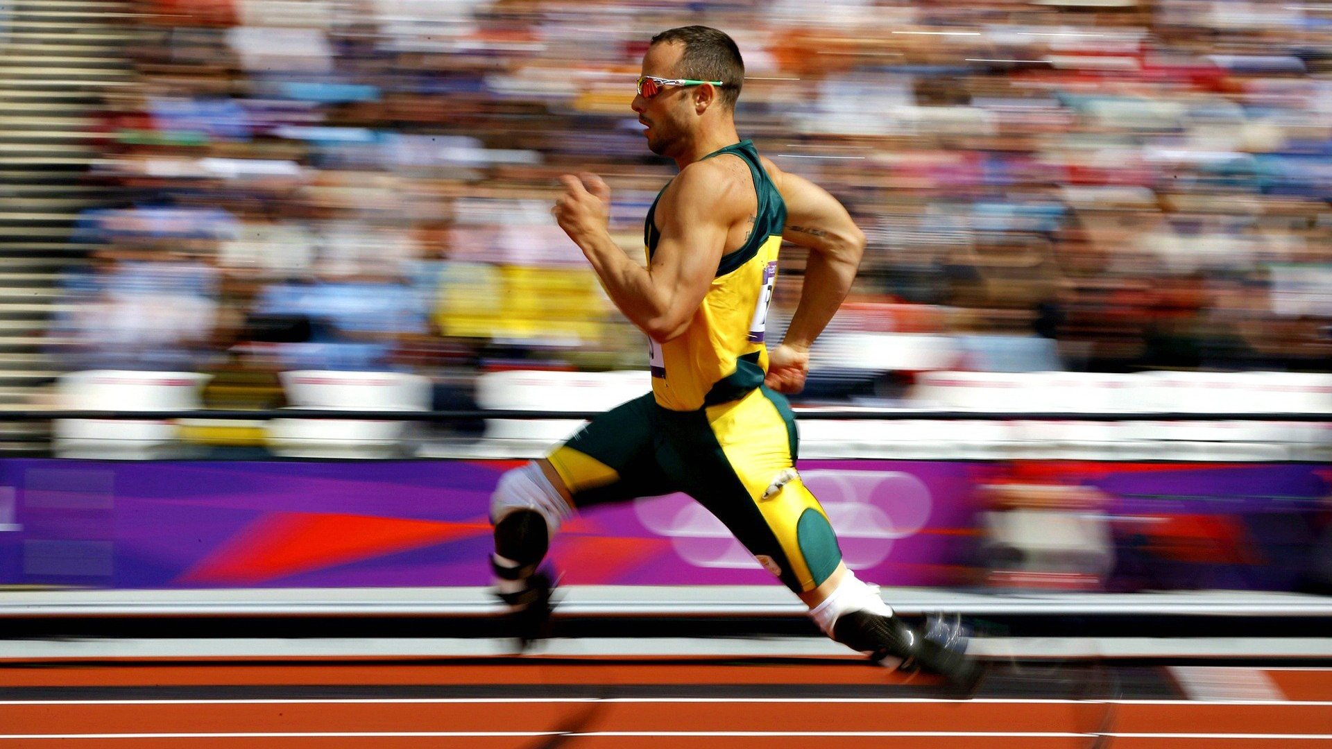 墨西哥马术协会引入智能马鞍系统,实现实时数据监测与分析,提升骑乘体验。